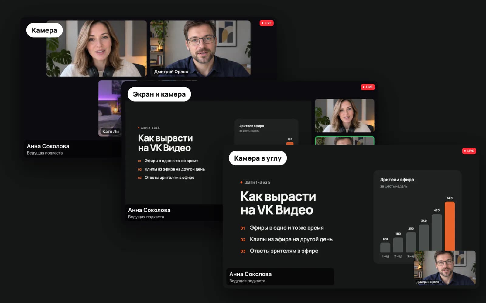 Три кадра: «Камера», «Экран и камера», «Камера в углу» с говорящим гостем